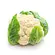 Cauliflower, cooked